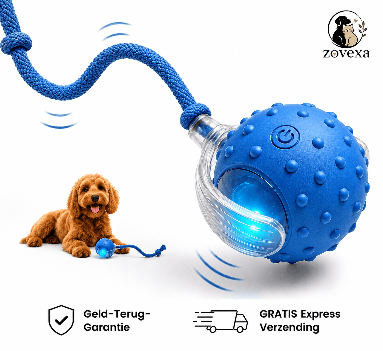 Paw Speedy Ball™
