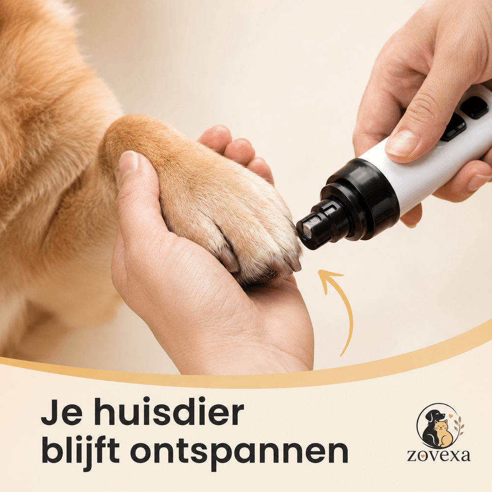 PootVijl Pro™- Voor Honden & Katten Veilig, Stil & Pijnloos