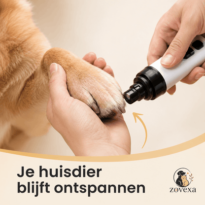 PootVijl Pro™- Voor Honden & Katten Veilig, Stil & Pijnloos