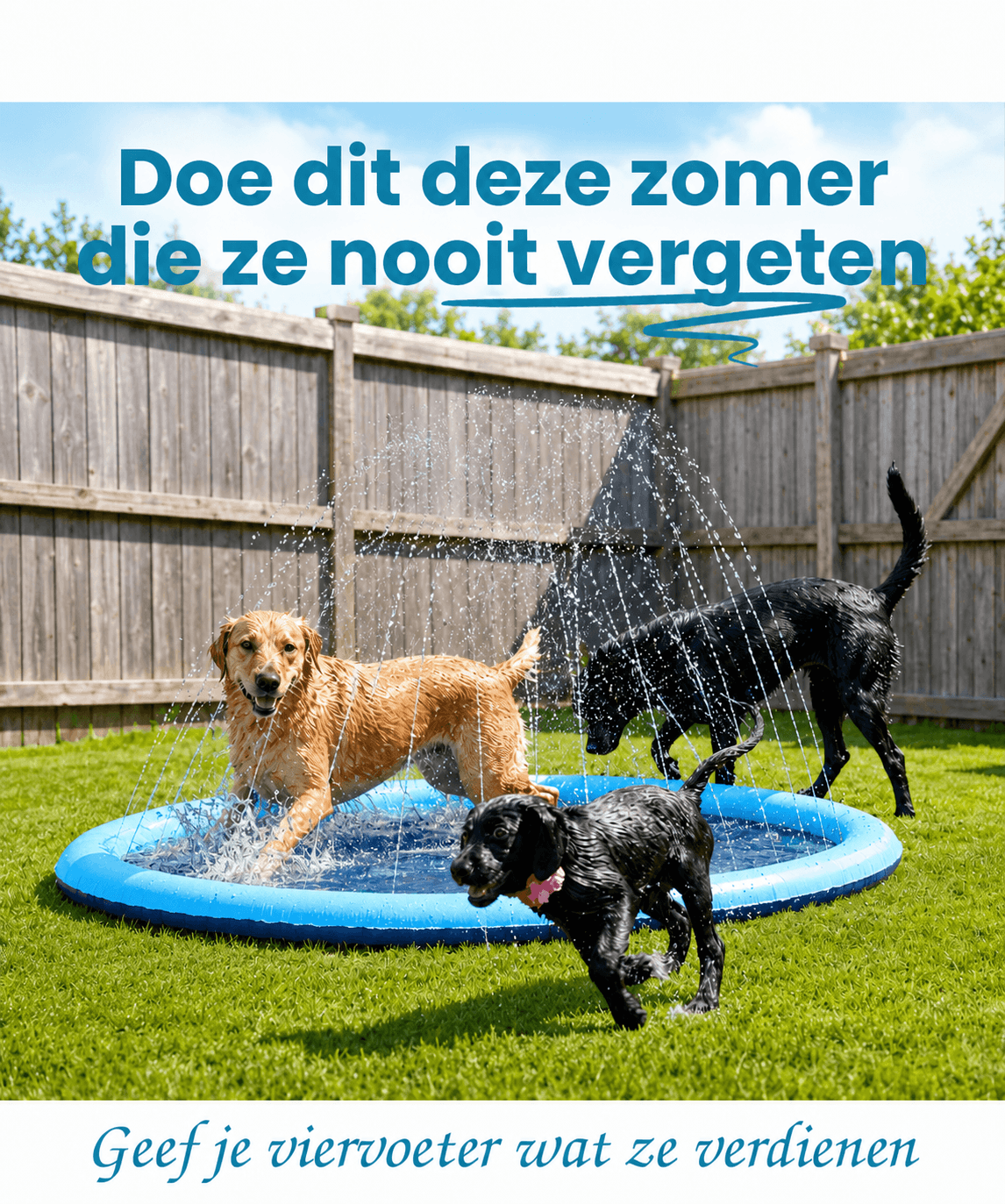 SplashPad™