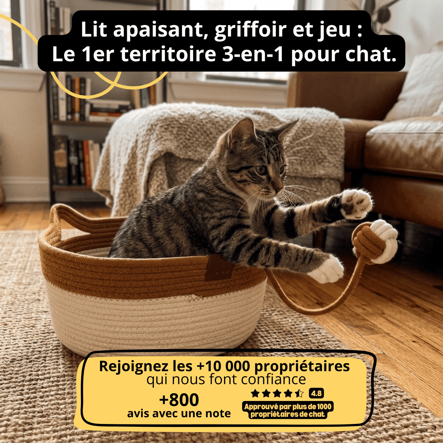 Dream Lounge Kattenmand – Geweven Katoen