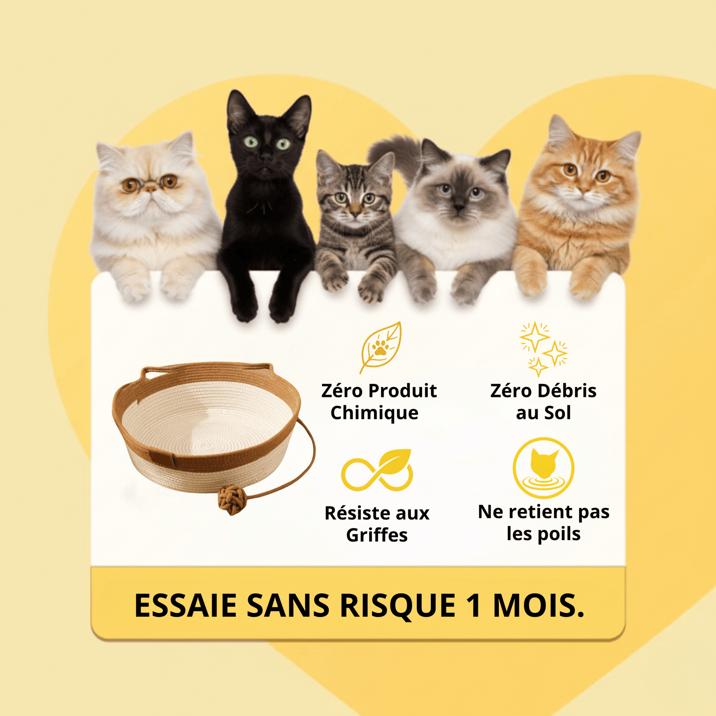 Dream Lounge Kattenmand – Geweven Katoen