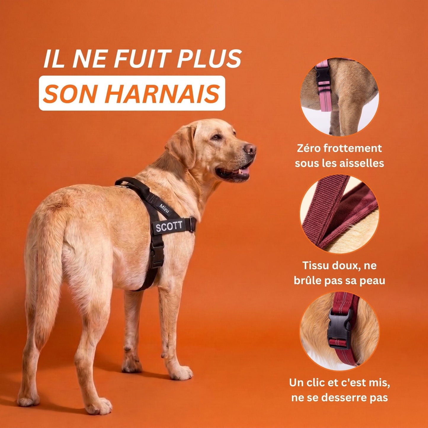TrekStopper™ Anti-Trek Harnas