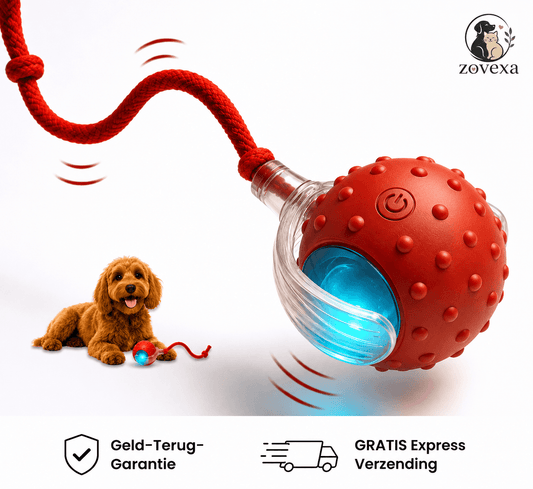 Paw Speedy Ball™