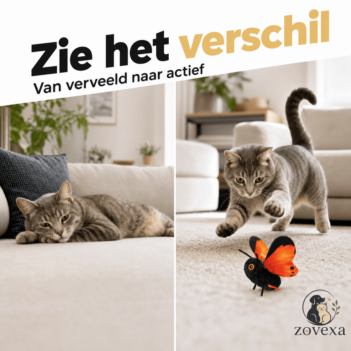 Kitty Fly™– Interactief Vliegspeeltje voor Katten