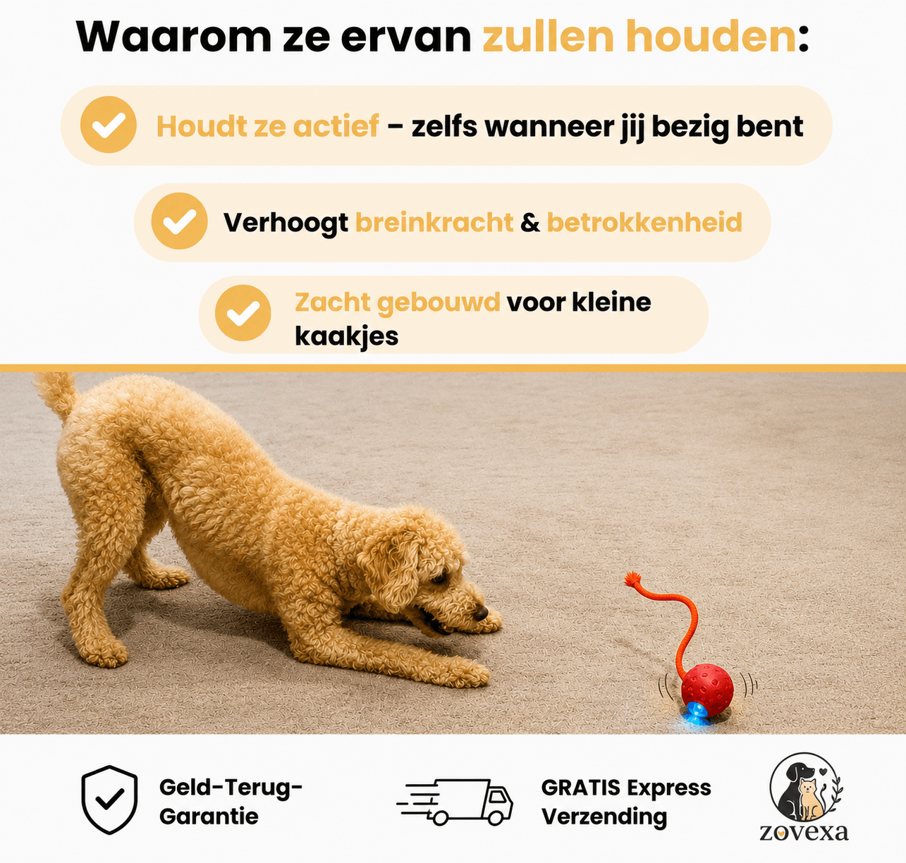 Paw Speedy Ball™