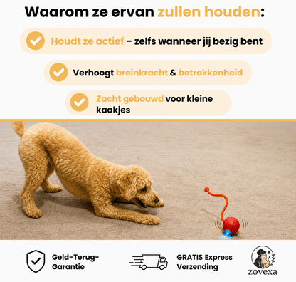 Paw Speedy Ball™