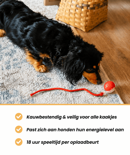 Paw Speedy Ball™
