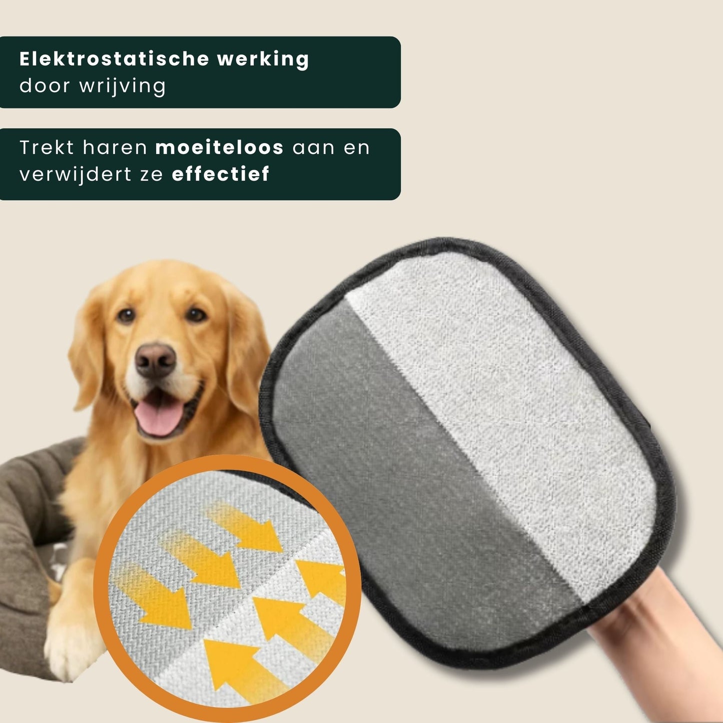 PawMagic|Herbruikbare Dierenhaar Verwijderaar (Set van 2)