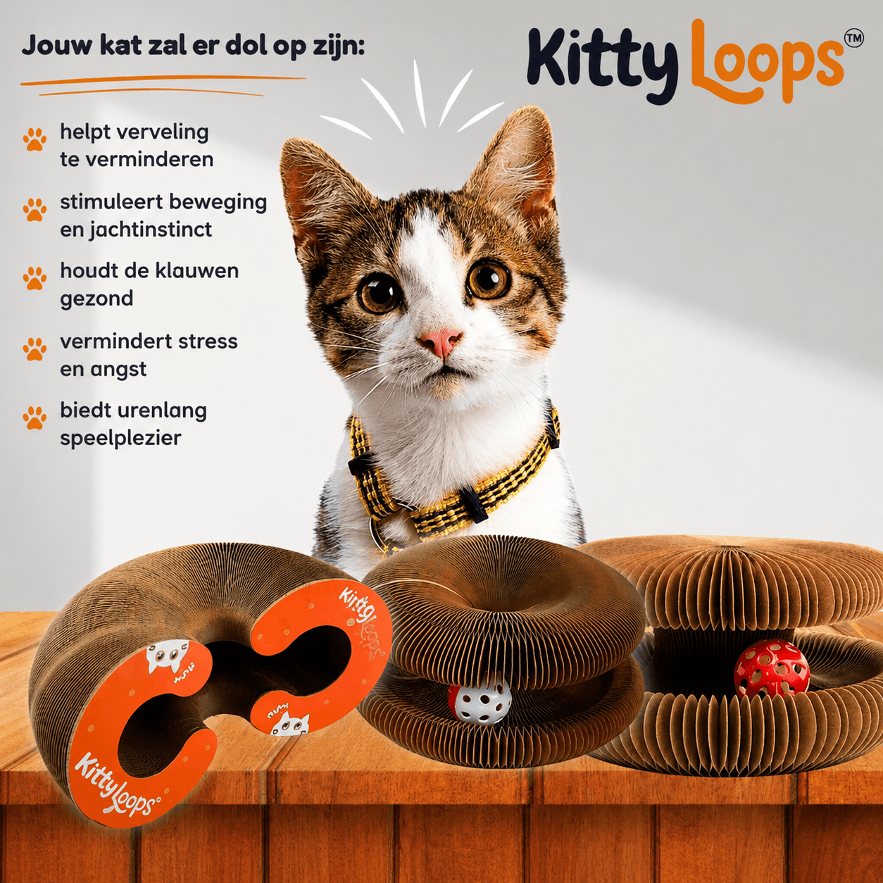 Kitty Loops™