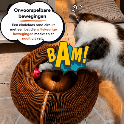 Kitty Loops™