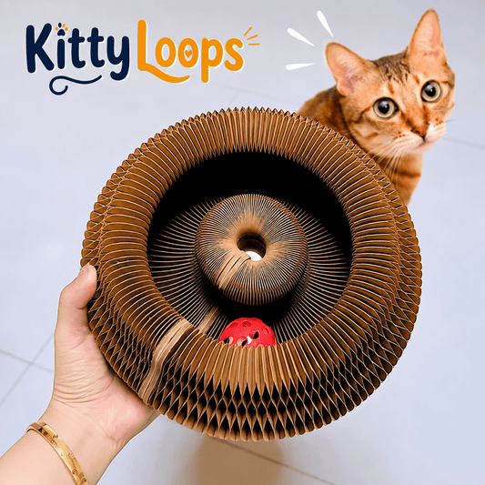 Kitty Loops™