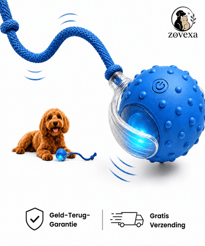 Paw Speedy Ball™