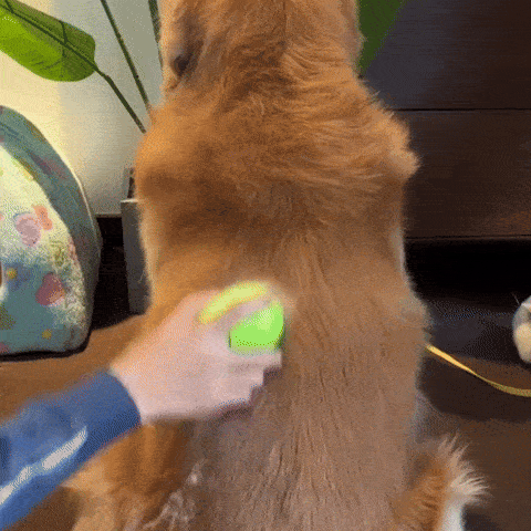 CozyBrush™  - Vachtverzorgings Borstel voor Huisdieren